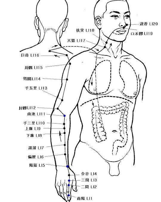 intestino crasso e medicina cinese