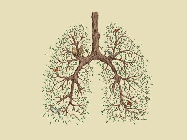 simbologia dei polmoni